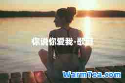 你说你爱我-歌词