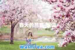 春天的芭蕾-歌词