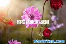 留在你身边-歌词