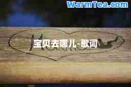 宝贝去哪儿-歌词