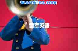 雷军英语
