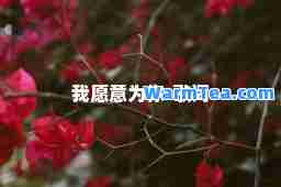 我愿意为你-歌词