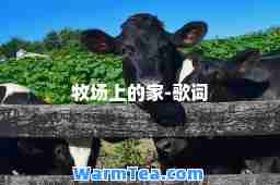 牧场上的家-歌词