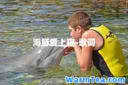 海豚爱上猫-歌词