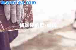 我是你的谁-歌词