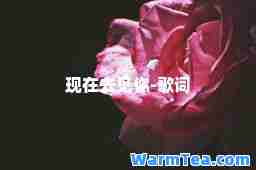 现在去见你-歌词