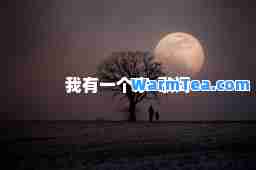 我有一个家-歌词