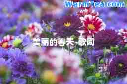 美丽的春天-歌词