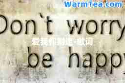 爱我你别走-歌词