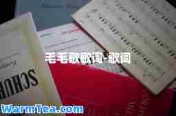 毛毛歌歌词-歌词