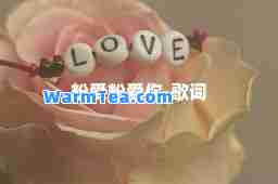 粉爱粉爱你-歌词