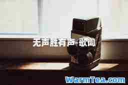无声胜有声-歌词