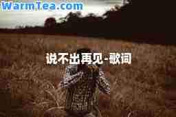 说不出再见-歌词