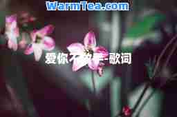 爱你不放手-歌词