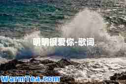 明明很爱你-歌词