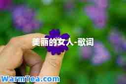 美丽的女人-歌词