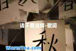 请不要这样-歌词