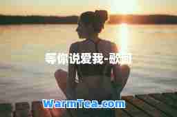 等你说爱我-歌词
