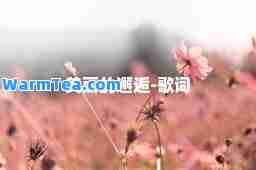 美丽的邂逅-歌词