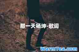 那杨坤-歌词
