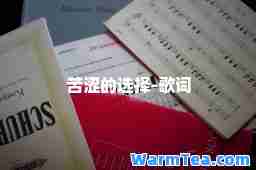 苦涩的选择-歌词
