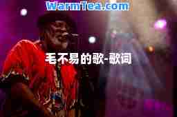 毛不易的歌-歌词