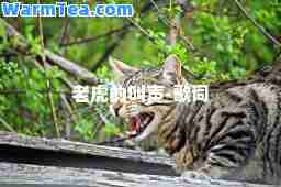 老虎的叫声-歌词