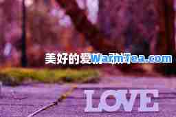 美好的爱情-歌词