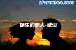 陌生的恋人-歌词