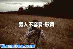 男人不容易-歌词