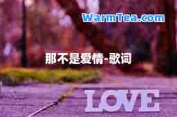 那不是爱情-歌词