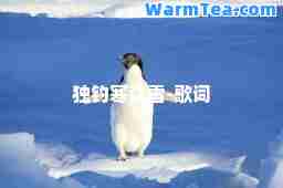 独钓寒江雪-歌词