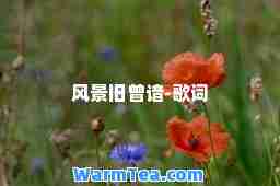 风景旧曾谙-歌词