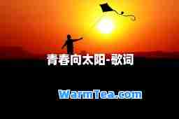 青春向太阳-歌词