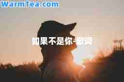 如果不是你-歌词