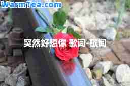 突然好想你 歌词-歌词