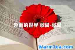 外面的世界 歌词-歌词