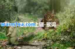 老鼠爱上猫-歌词