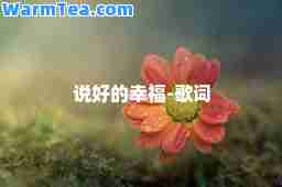 说好的幸福-歌词