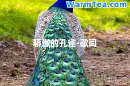 骄傲的孔雀-歌词