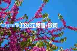 黄玫瑰原唱-歌词