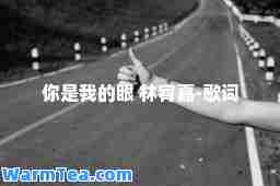 你是我的眼 林宥嘉-歌词