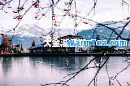 大金湖旅游