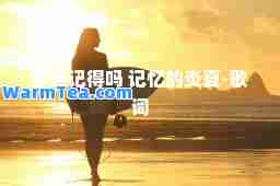 你还记得吗 记忆的炎夏-歌词