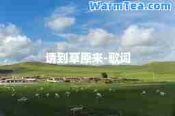 请到草原来-歌词
