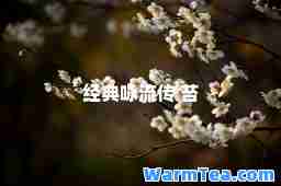 经典咏流传 苔