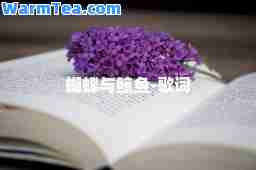 蝴蝶与鲸鱼-歌词