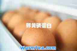 卵黄磷蛋白