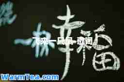 飞来一只凤-歌词