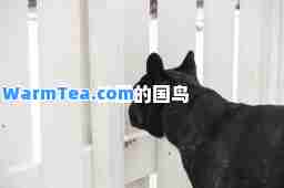 法国的国鸟